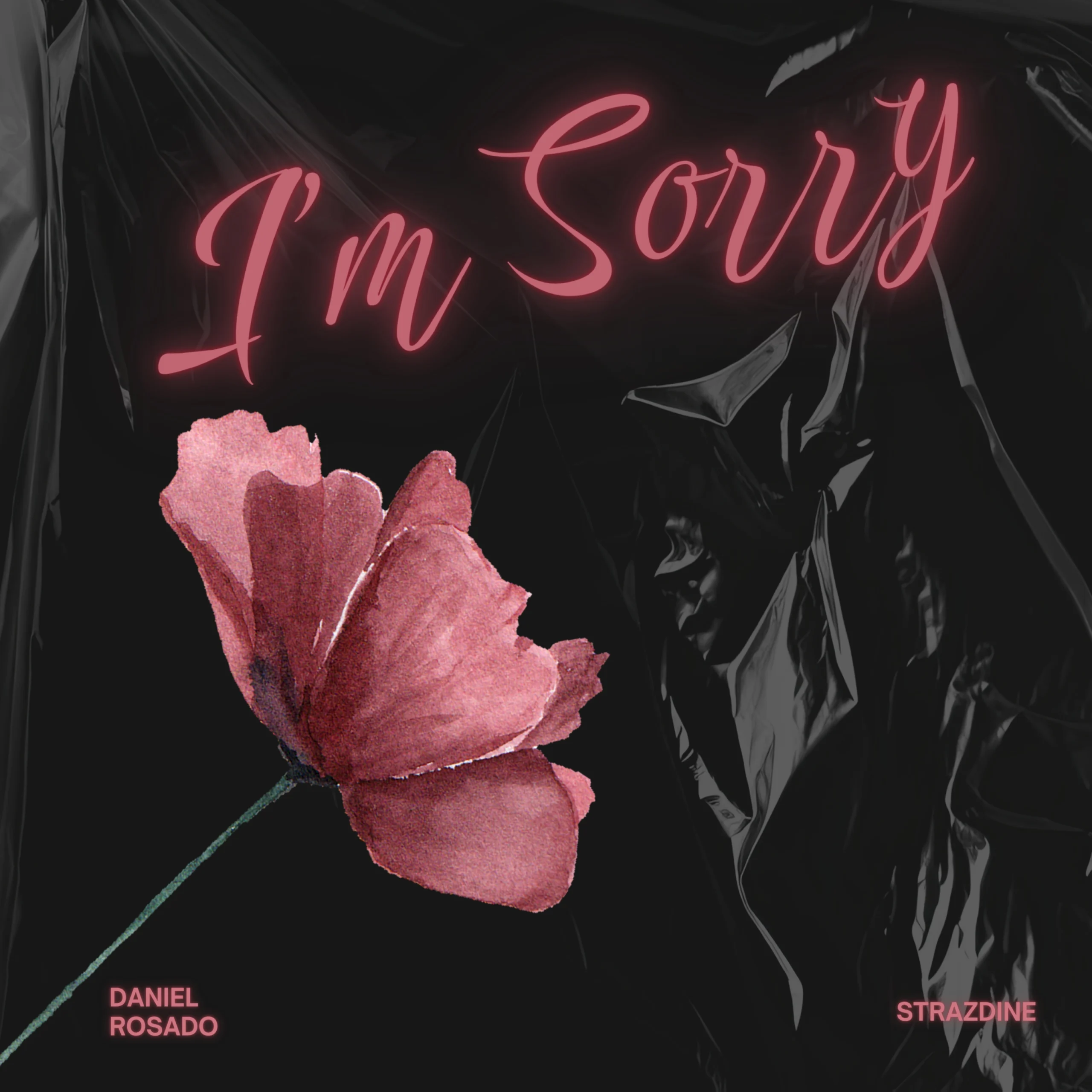 1. IM SORRY COVER jpg